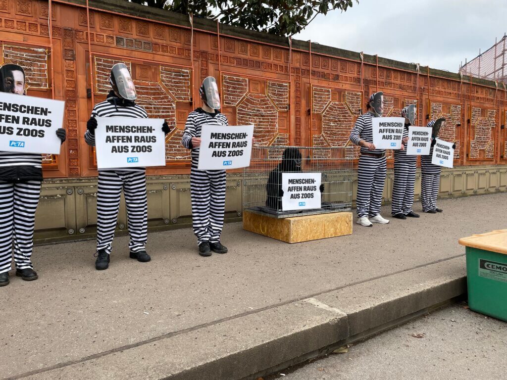 PETA Aktion zum Thema Tiere in Zoos in Stuttgart.
