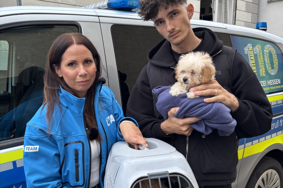 Jana Hoger und Nathan Goldblat retten zwei Welpen.