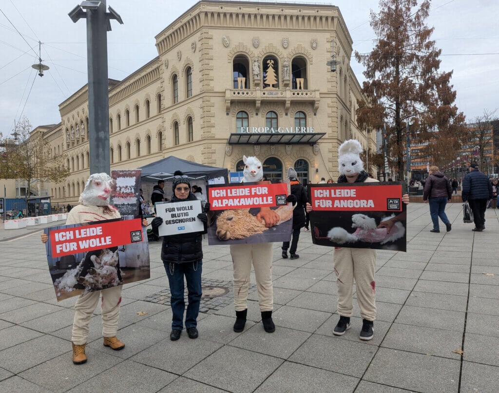 PETA Streetteam-Aktion zum Thema Wolle in Saarbrücken