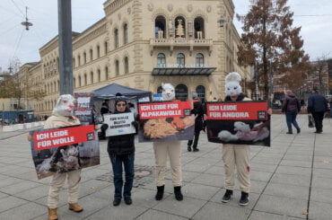 PETA Streetteam-Aktion zum Thema Wolle in Saarbrücken
