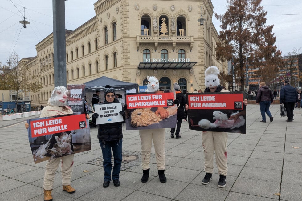 PETA Streetteam-Aktion zum Thema Wolle in Saarbrücken
