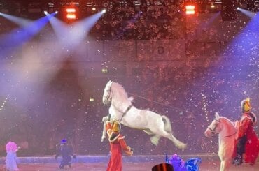 Ein weißes Pferd muss innerhalb der Cavalluna Show eine Kapriole absolvieren.