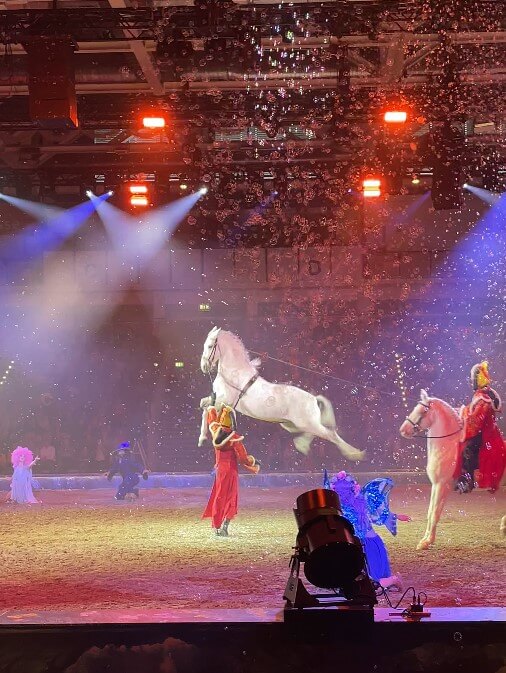 Ein weißes Pferd muss innerhalb der Cavalluna Show eine Kapriole absolvieren.