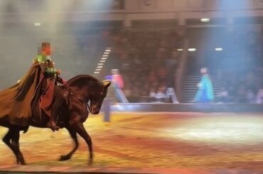 Pferd muss Überdehnung des Halses erdulden.