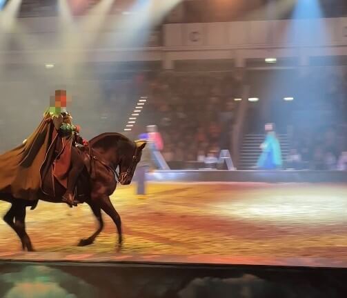 Pferd muss Überdehnung des Halses erdulden.