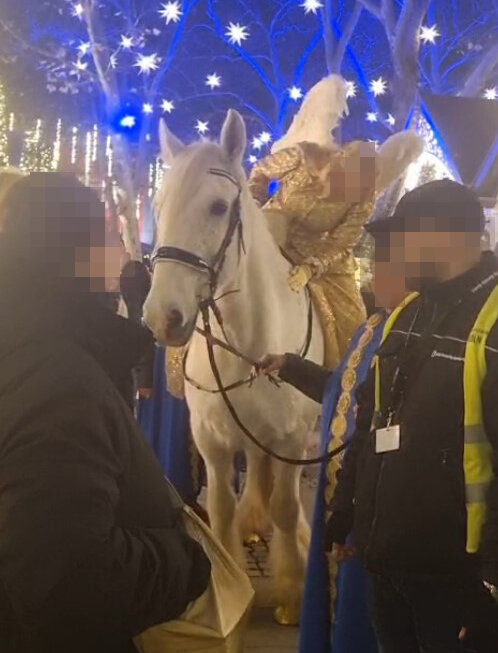 Ein Pferd wurde zur Unterhaltung der Besucher über den Weihnachtsmarkt in Köln geführt.