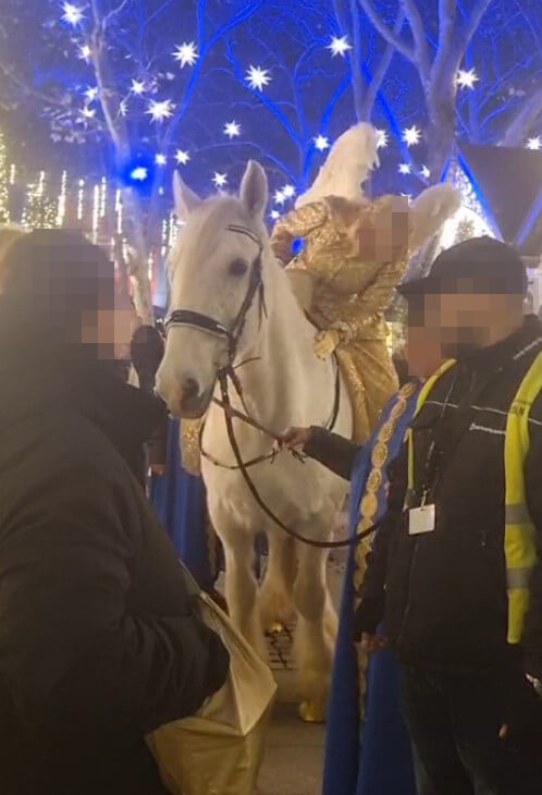 Ein Pferd wurde zur Unterhaltung der Besucher über den Weihnachtsmarkt in Köln geführt.