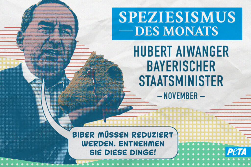 Speziesismus des Monats Bieberabschuss Hubert Aiwanger