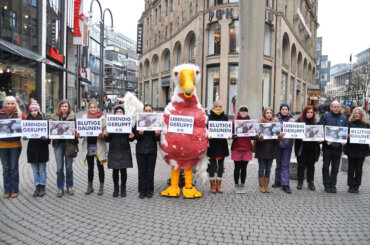 Aktive bei der Demo mit einem überdimensionalen Ganskostüm