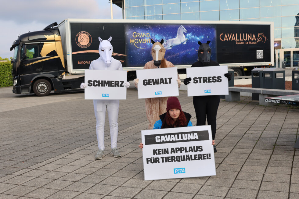 Demo vor Cavalluna in Erfurt mit drei als Pferd verkleideten Aktivist:innen.