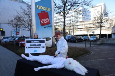 Peta Aktion Angora Kaninchenwolle in Pforzheim