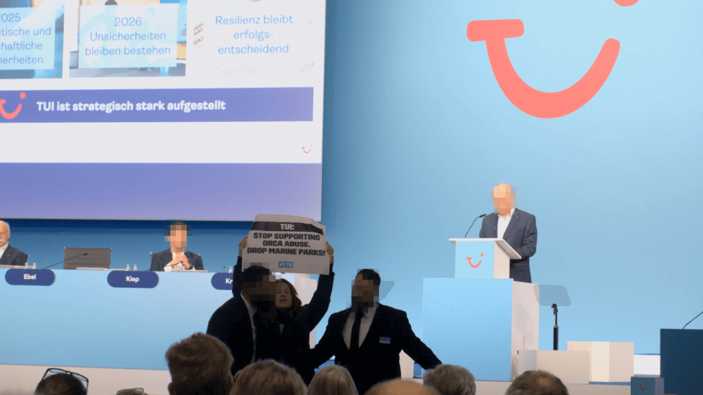 Eine Aktivistin von PETA stürmt die TUI-Hauptversammlung und wird festgehalten.