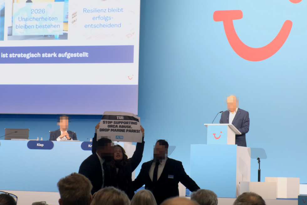 Eine Aktivistin von PETA stürmt die TUI-Hauptversammlung und wird festgehalten.