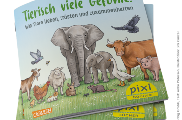 PETA PIXIE Buch