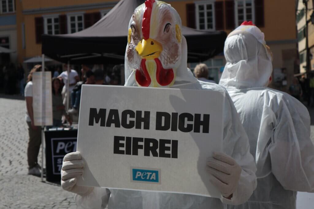 Aktion des Streetteams in Tübingen zu Ostern bezüglich Eierindustrie.