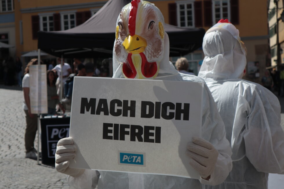 Aktion des Streetteams in Tübingen zu Ostern bezüglich Eierindustrie.