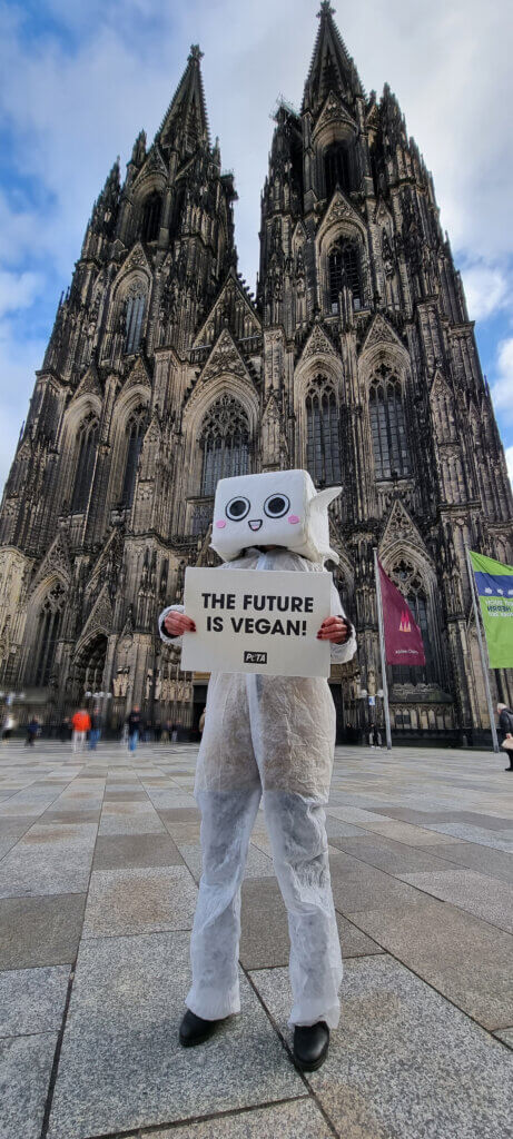 Demo in Köln als Tofu verkleidet.