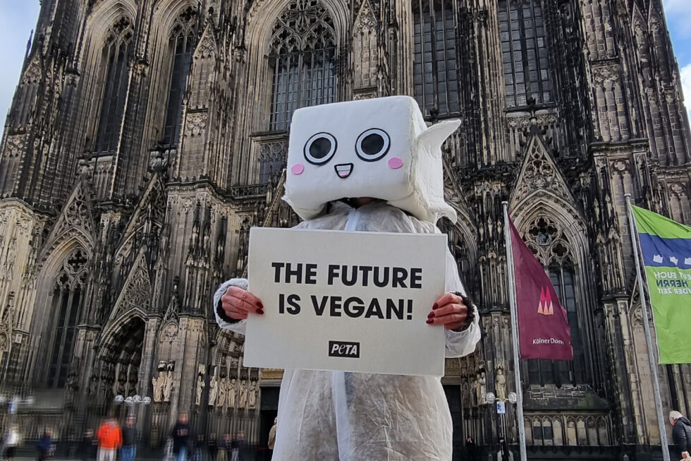Demo in Köln als Tofu verkleidet.