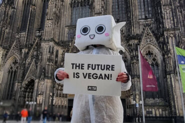 Demo in Köln als Tofu verkleidet.