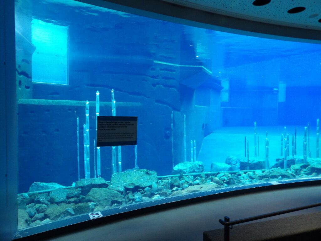 Betonbecken im Delfinarium als Lagune gestaltet