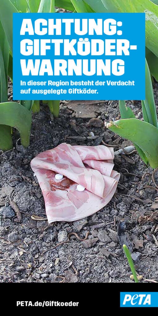 Giftköder Bild 2026