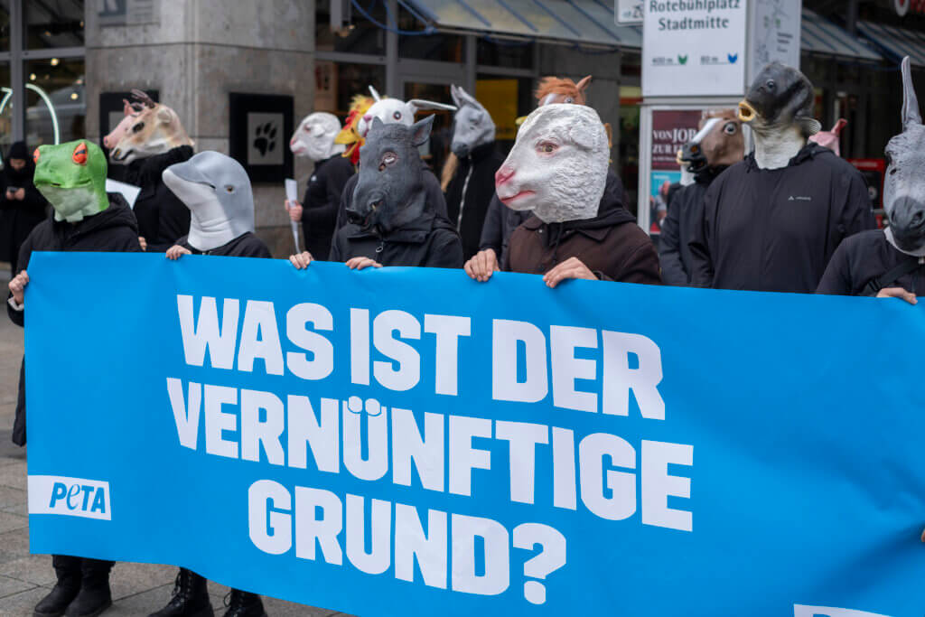 Was ist der vernünftige Grund - auf einem Schild geschrieben