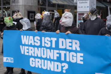 Was ist der vernünftige Grund - auf einem Schild geschrieben