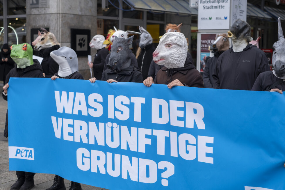 Was ist der vernünftige Grund - auf einem Schild geschrieben