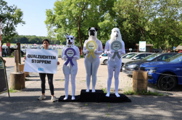 Aktivist*innen inszenieren eine "Siegerehrung" gegen Qualzucht bei Hunden, bei der verkleidete Personen auf einem Podest stehen und Plätze vergeben werden. Die Schleifen sind mit den zuchtbedingten Leiden „Taubheit“, „Zahnfehlstellung“ und „Atemnot“ beschriftet.