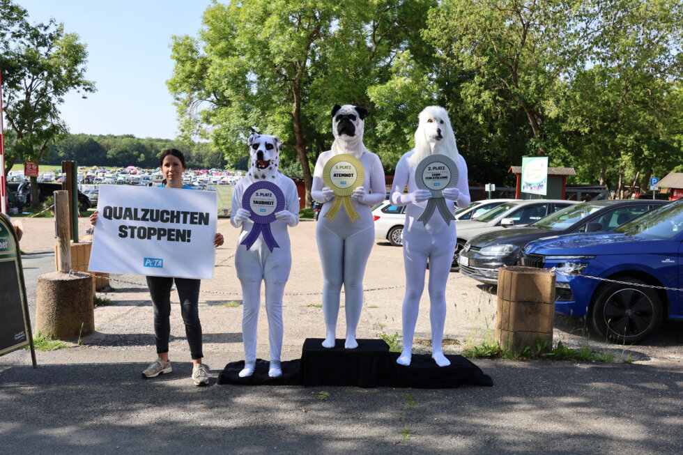Aktivist*innen inszenieren eine "Siegerehrung" gegen Qualzucht bei Hunden, bei der verkleidete Personen auf einem Podest stehen und Plätze vergeben werden. Die Schleifen sind mit den zuchtbedingten Leiden „Taubheit“, „Zahnfehlstellung“ und „Atemnot“ beschriftet.