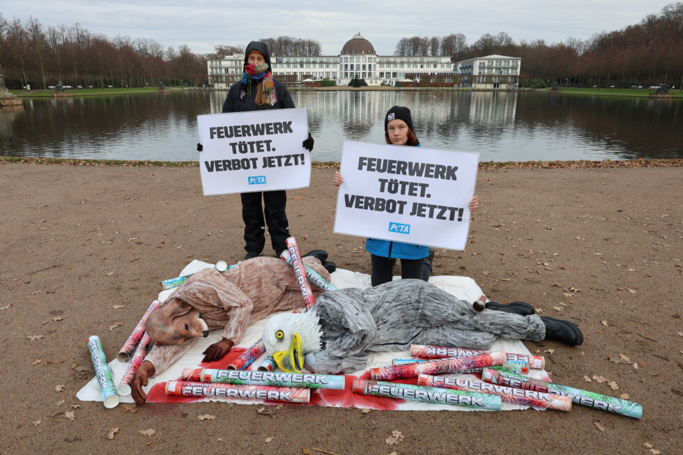Eine ähnliche Aktion von Peta in Bremen gegen Feuerwerke.