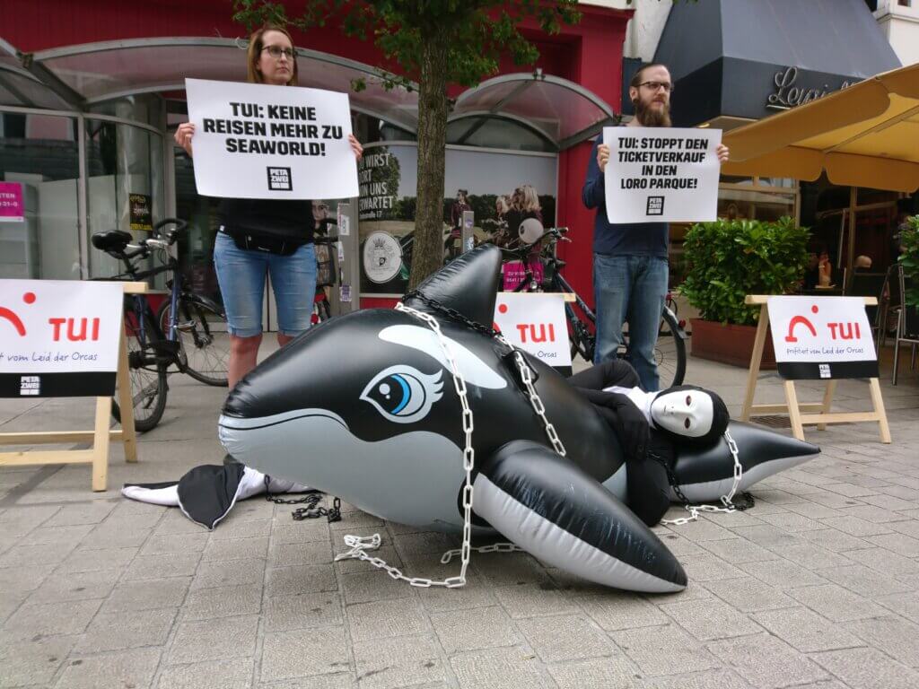 Mit einem aufblasbaren Orka protestieren Freiwillige gegen TUI.
