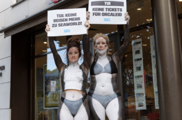 Aktivist:innen protestieren vor einer TUI-Filiale mit Bannern, Schildern und Orca-Bodypainting gegen den Verkauf von Tickets für Delfinarien oder Meereszoos. Sie fordern den Reisekonzern auf, keine Angebote mehr zu unterstützen, für die Orcas in Gefangenschaft leiden müssen.