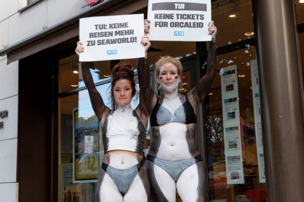 Aktivist:innen protestieren vor einer TUI-Filiale mit Bannern, Schildern und Orca-Bodypainting gegen den Verkauf von Tickets für Delfinarien oder Meereszoos. Sie fordern den Reisekonzern auf, keine Angebote mehr zu unterstützen, für die Orcas in Gefangenschaft leiden müssen.
