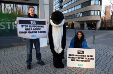 Streetteam Aktion gegen Orca ausbeutung in Berlin