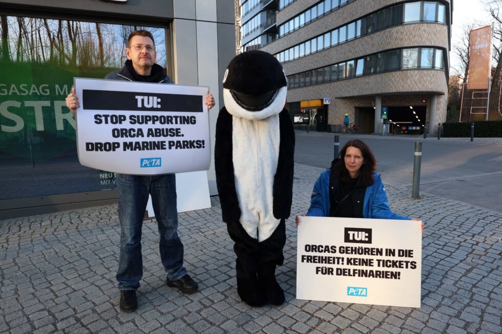 Streetteam Aktion gegen Orca ausbeutung in Berlin