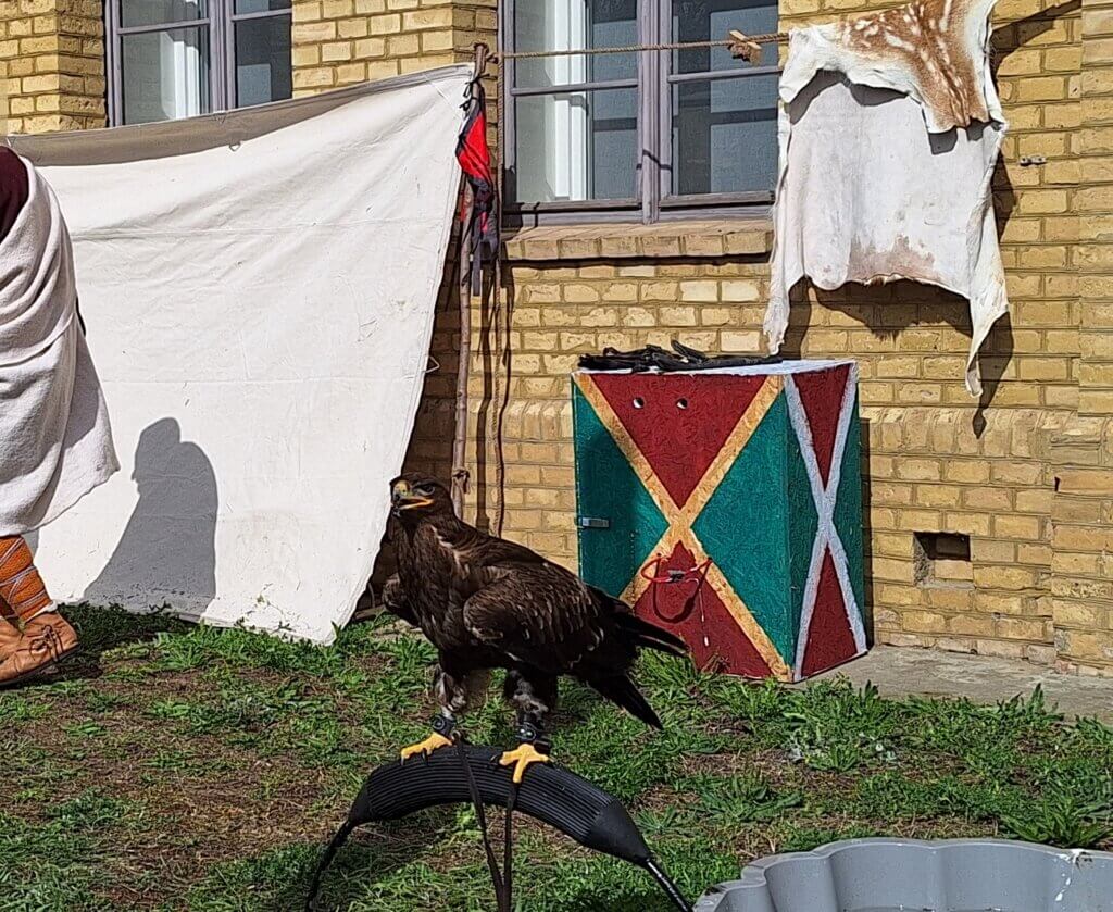Auf dem Ritterfest in Berlin-Spandau wurden im April 2026 Greifvögel und Eulen für Foto-Gelegenheiten angeboten.