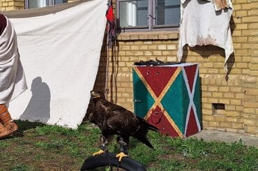 Auf dem Ritterfest in Berlin-Spandau wurden im April 2026 Greifvögel und Eulen für Foto-Gelegenheiten angeboten.