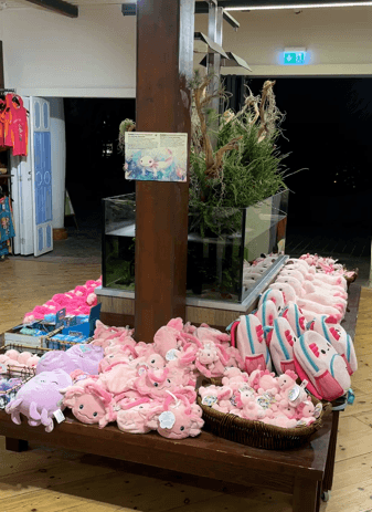 Aufnahmen vom April 2026 zeigen Axolotl, die in einem Aquarium in einem Souvenirshop neben Plüschtieren und anderen Waren zur Schau gestellt werden.
