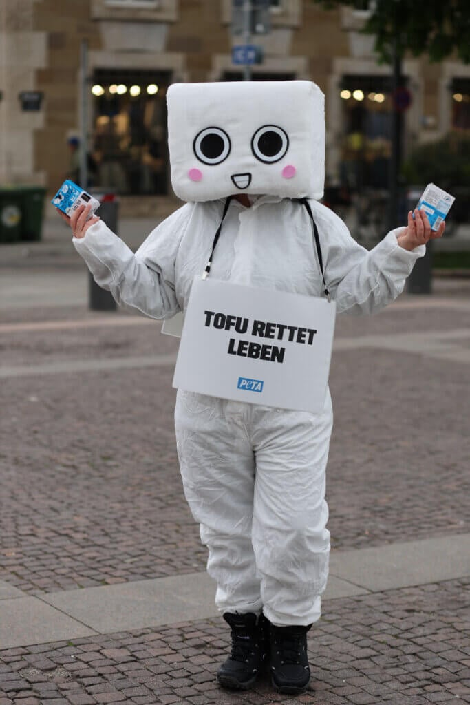 Peta Aktivist als Tofu verkleidet