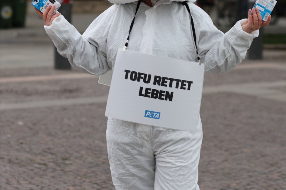 Peta Aktivist als Tofu verkleidet