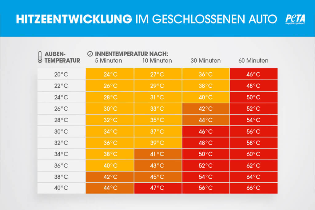 Hitzeentwicklung-im-Auto-Tabelle