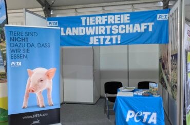 Peta Stand auf den Feldtagen