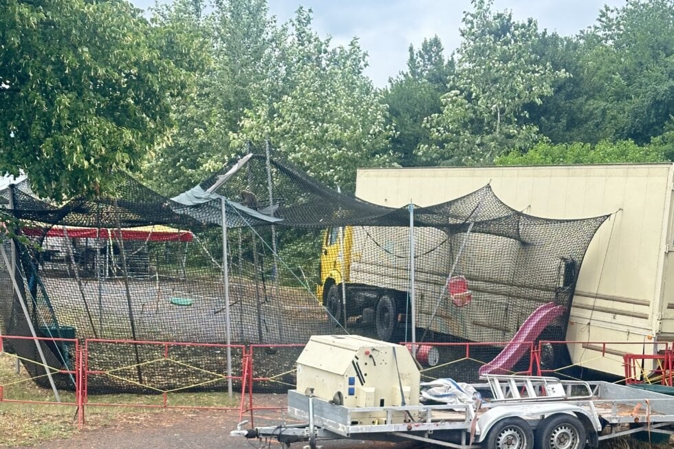 Affen die in einem Netzgehege eingesperrt sind