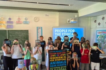 Schüler:innen eines Gymnasiumsbei einem Peta Workshops