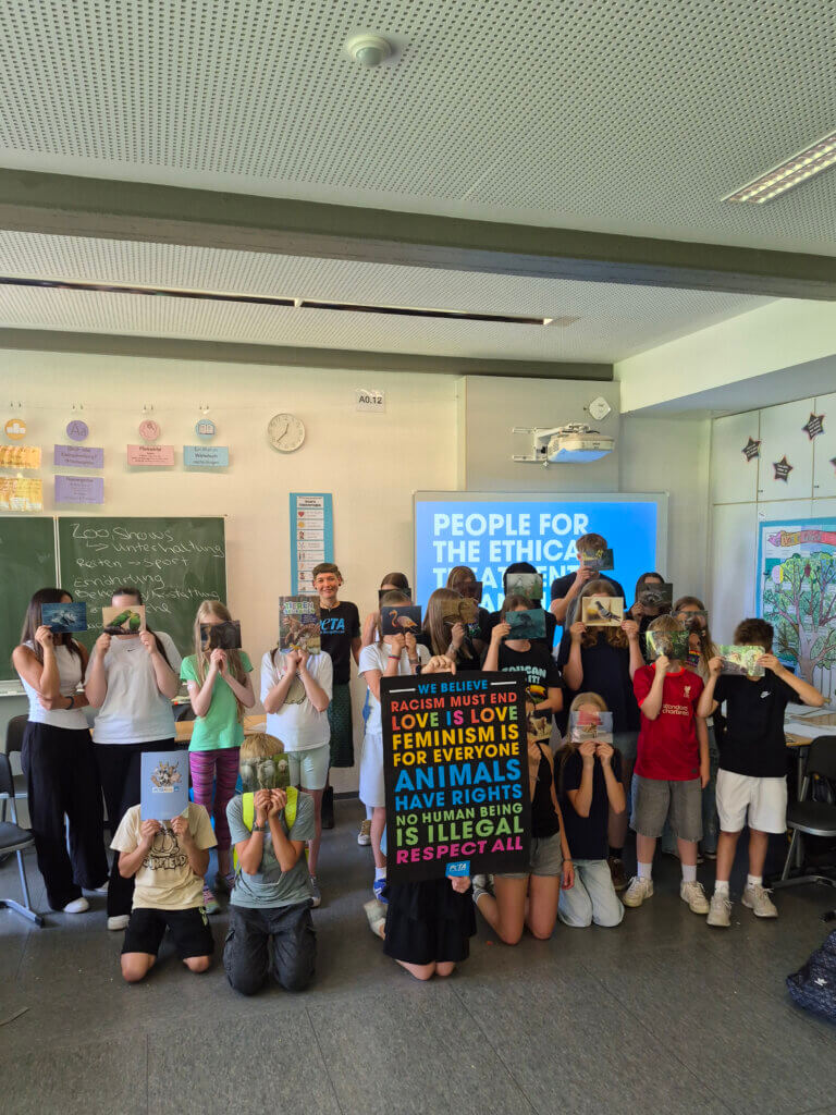 Schüler:innen eines Gymnasiumsbei einem Peta Workshops