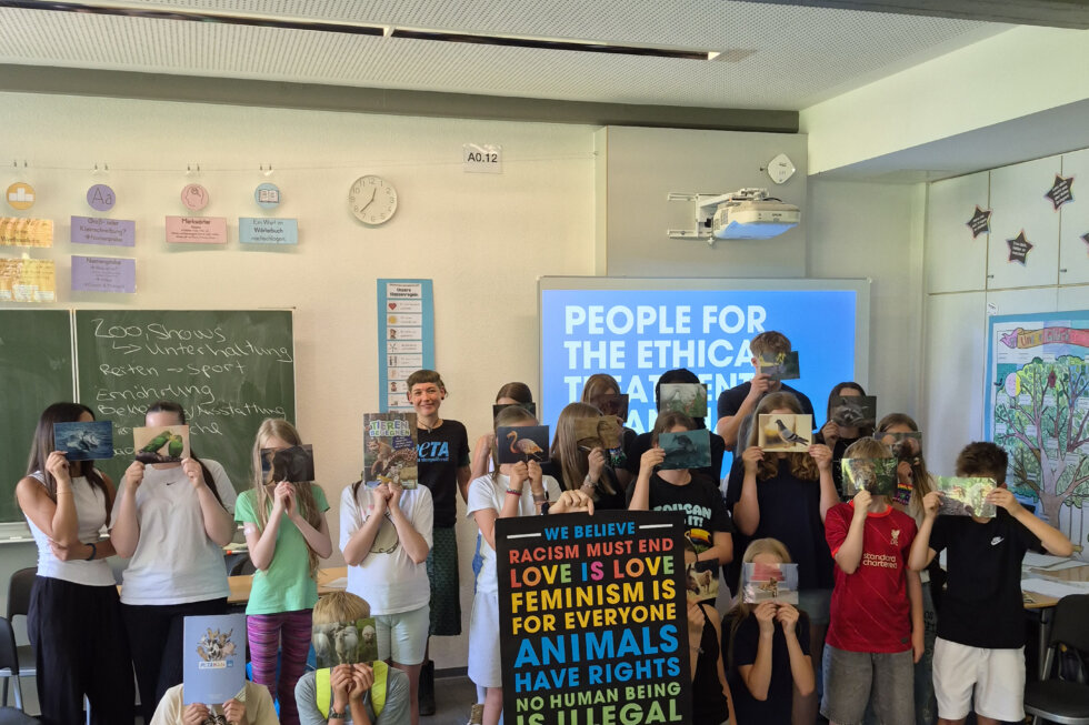 Schüler:innen eines Gymnasiumsbei einem Peta Workshops