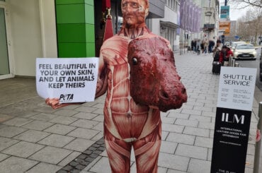 Aktivistische Person in einem gehäuteten Anzug