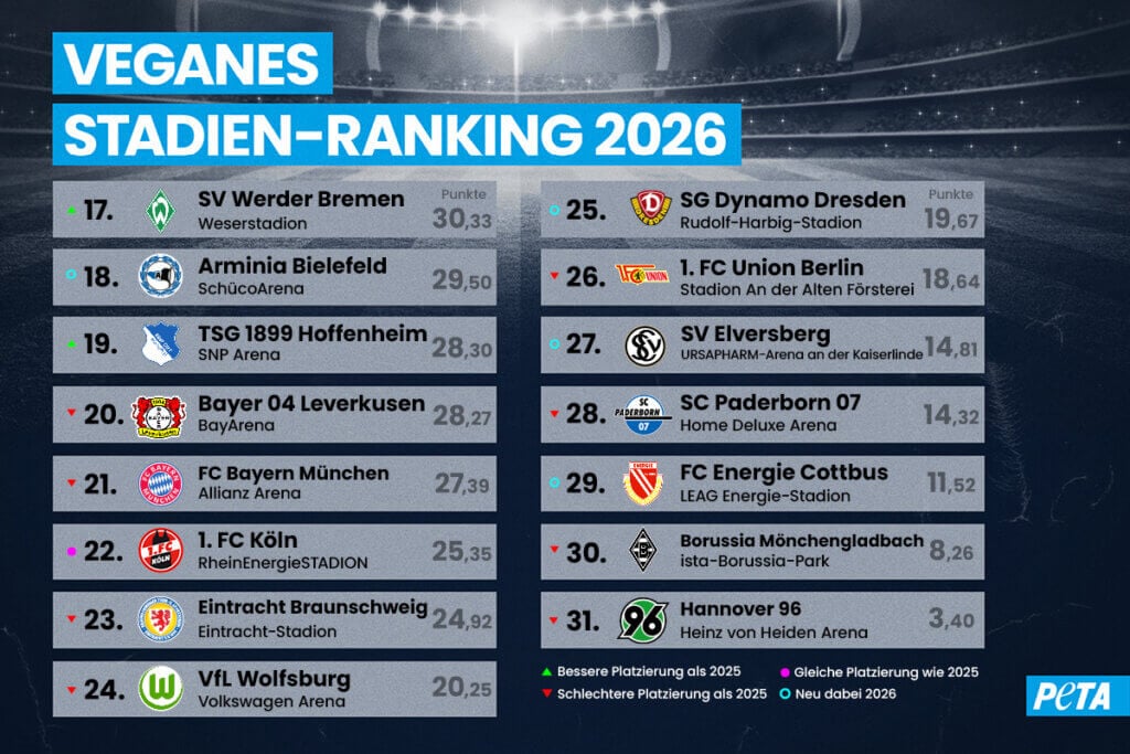Stadienranking 2026 17-31