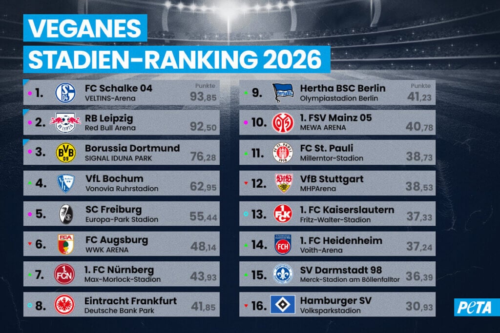 Stadienranking 2026 1-16